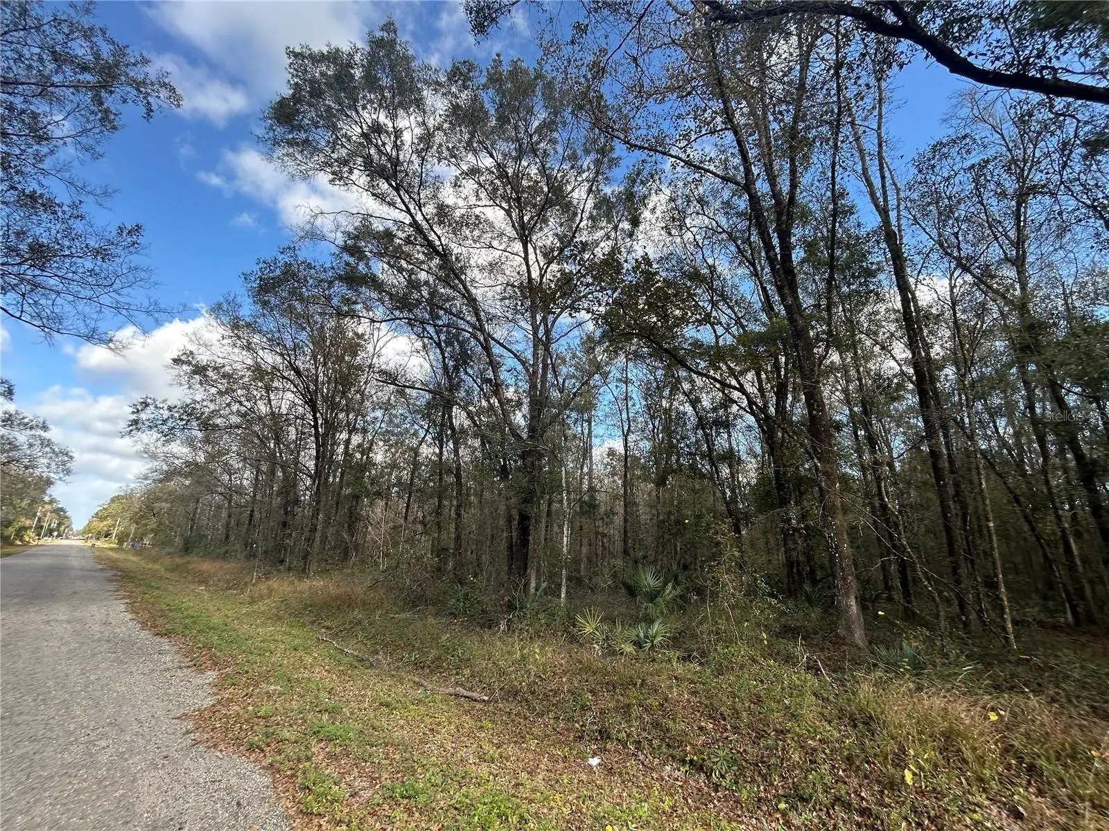 10040 Mcmahon Avenue, FL