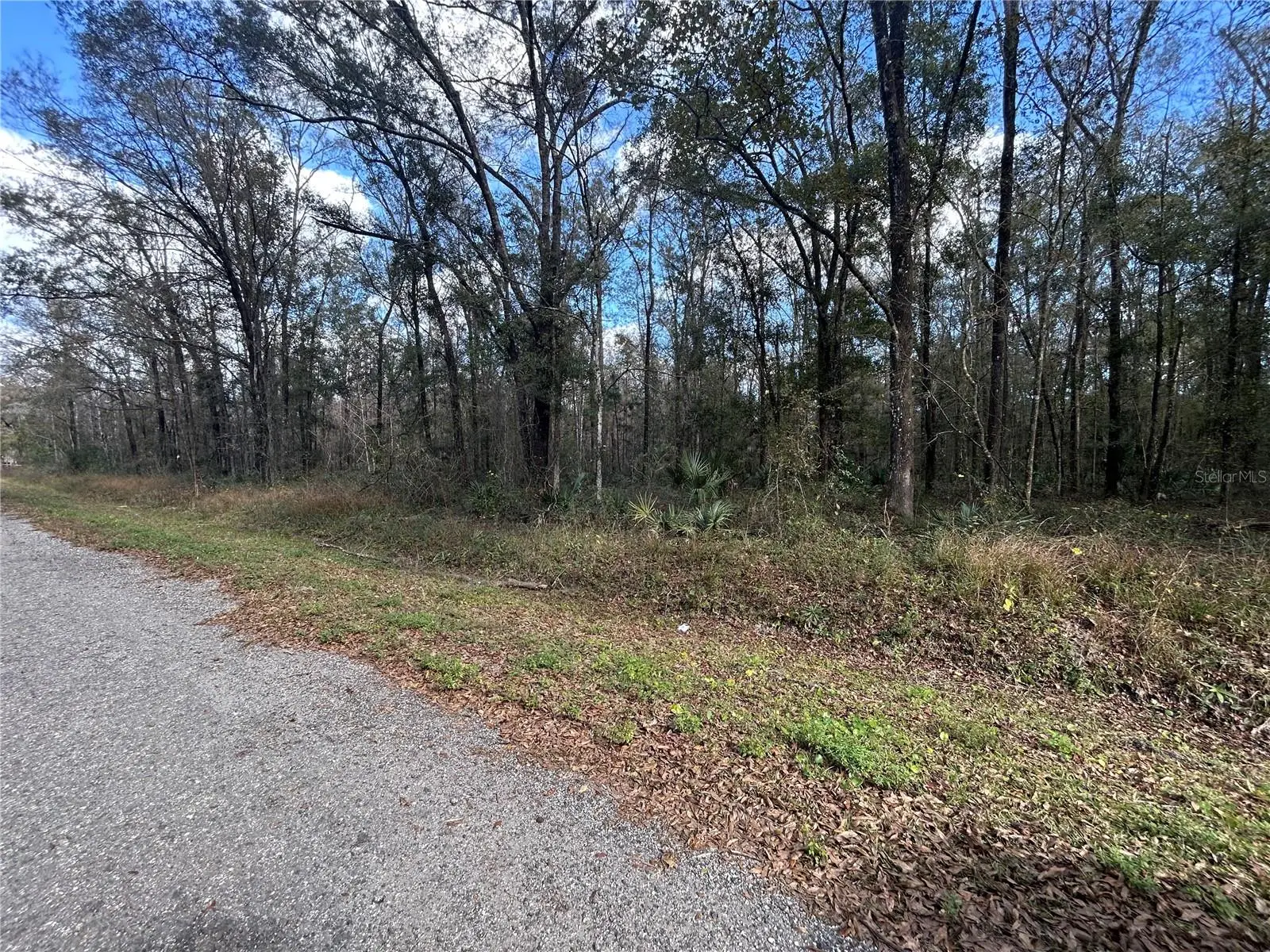 10040 Mcmahon Avenue, FL