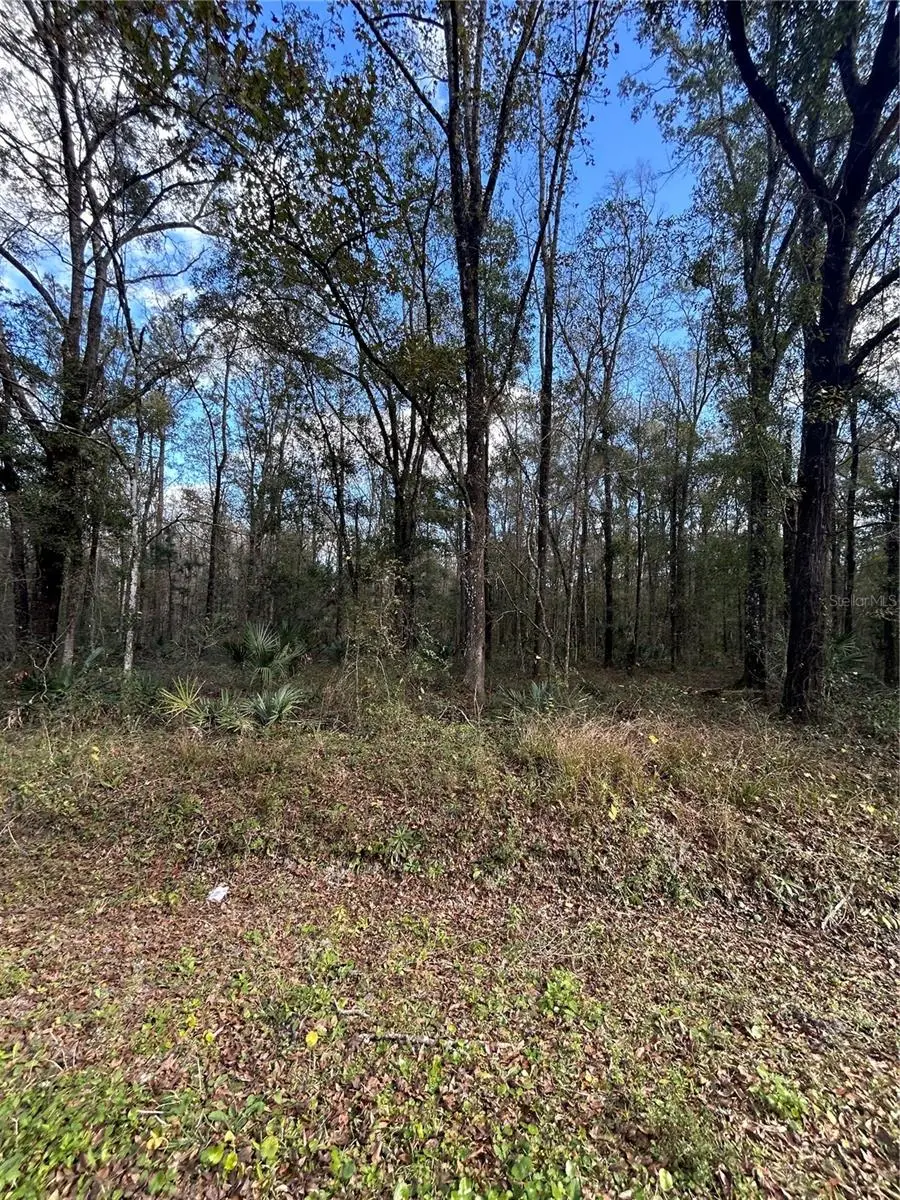 10040 Mcmahon Avenue, FL