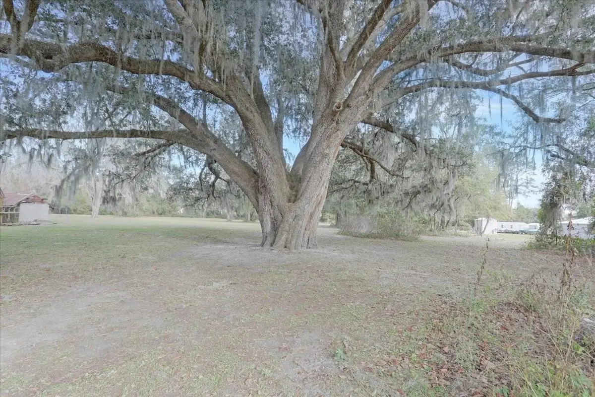 5336 County Road 791, FL