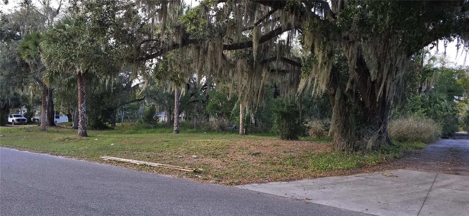 E 11th Street, FL