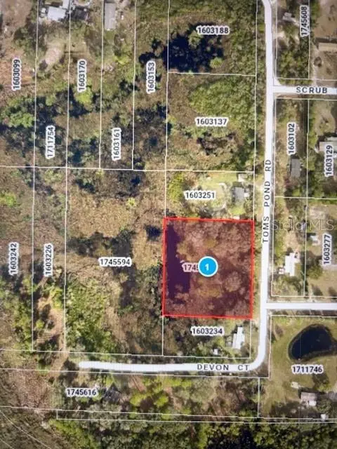 Toms Pond Road, FL