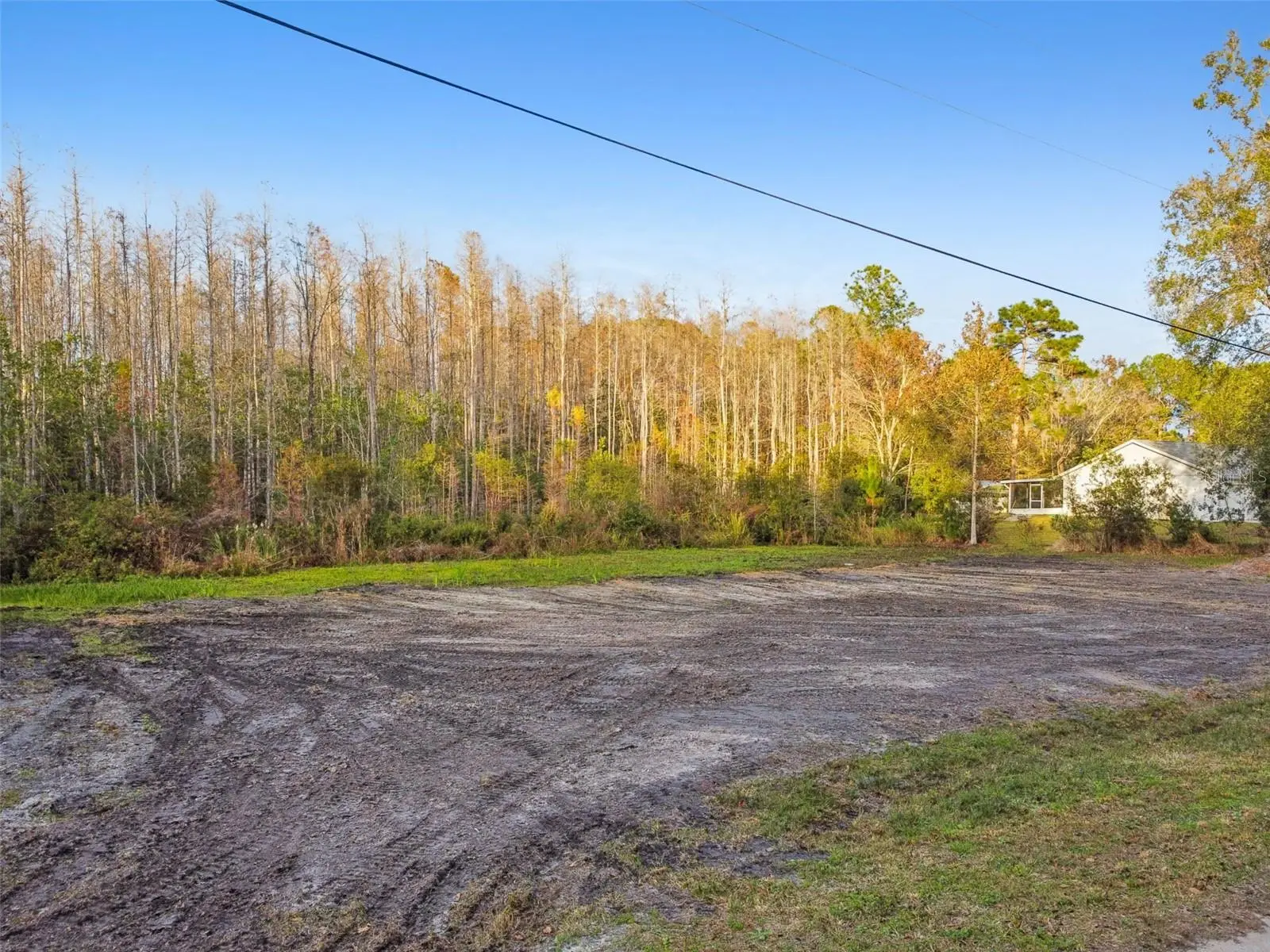 26305 Bluestripe Drive, FL