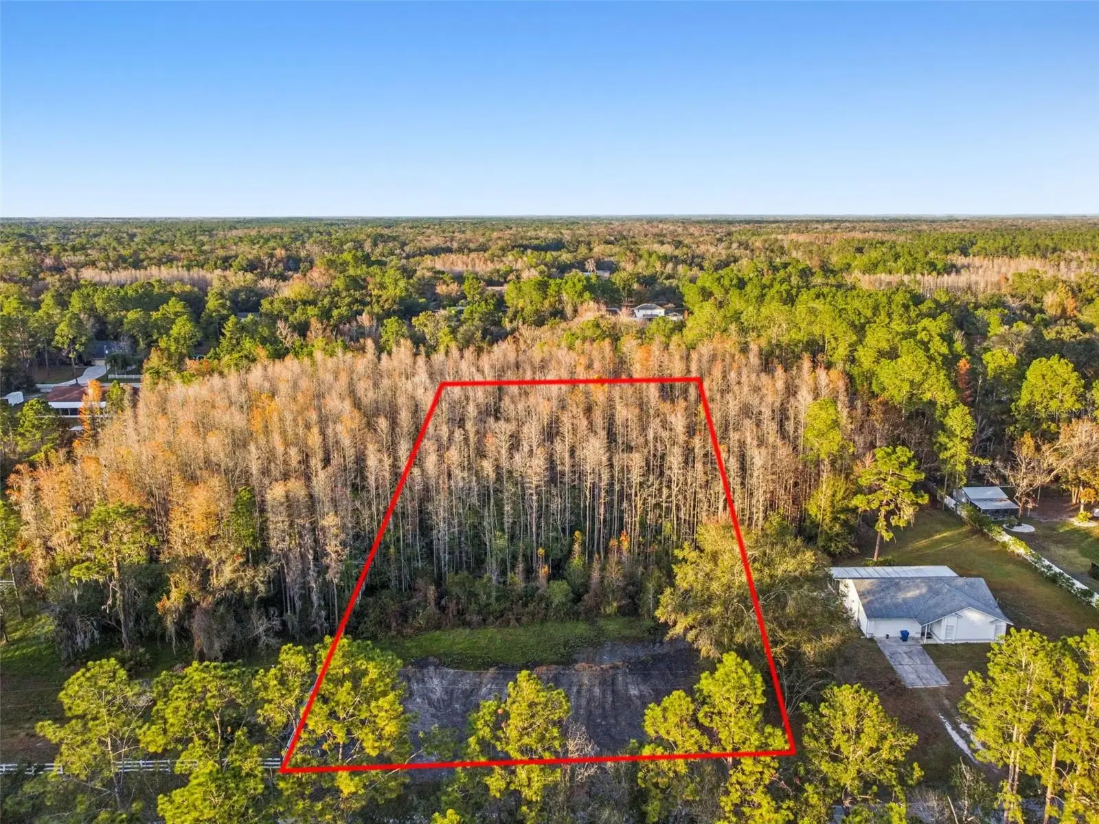 26305 Bluestripe Drive, FL