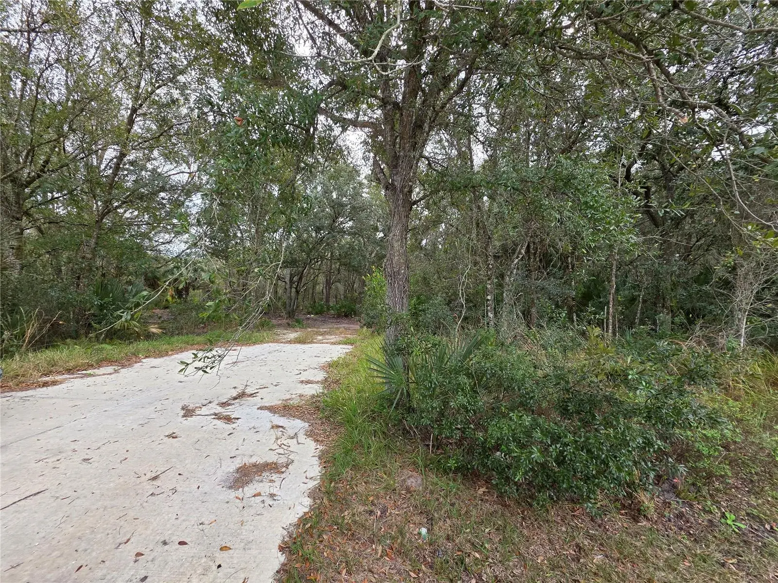 0 State Road 60, FL