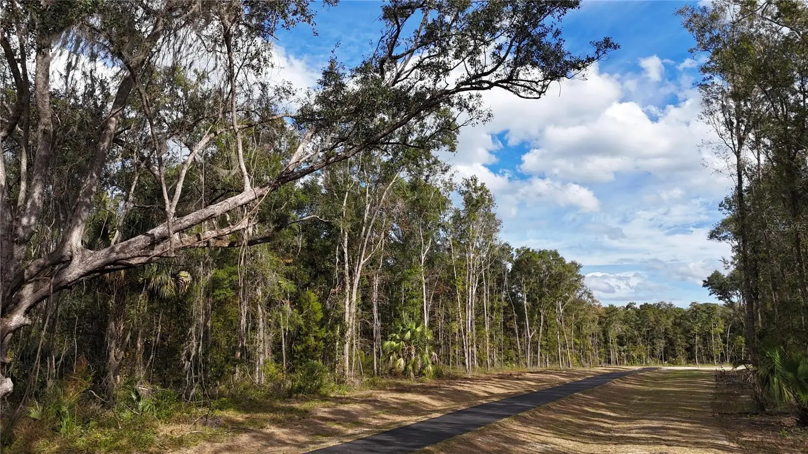 Irvine Acres #3 (10ac) Hwy 318, FL