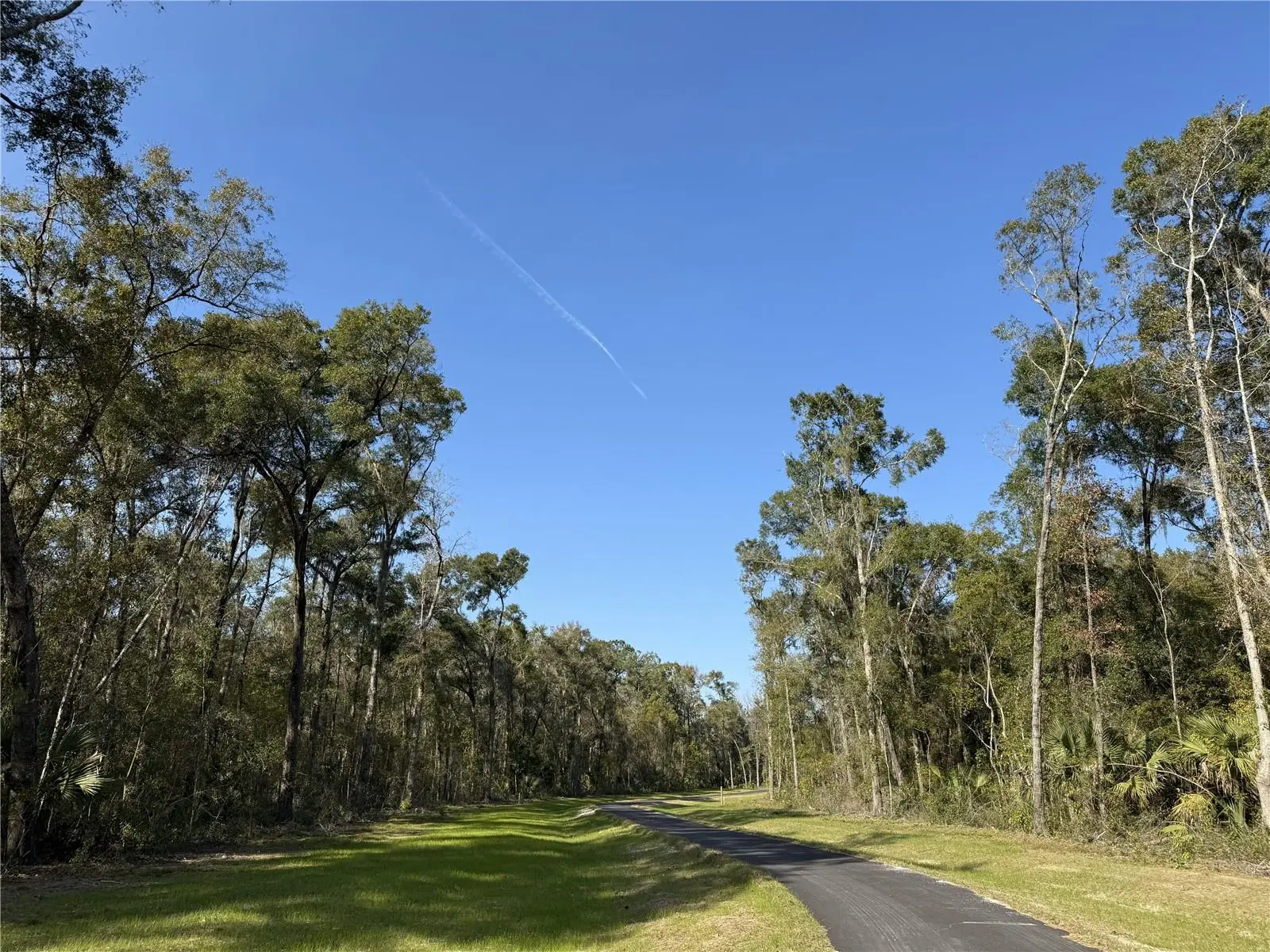 Irvine Acres #3 (10ac) Hwy 318, FL