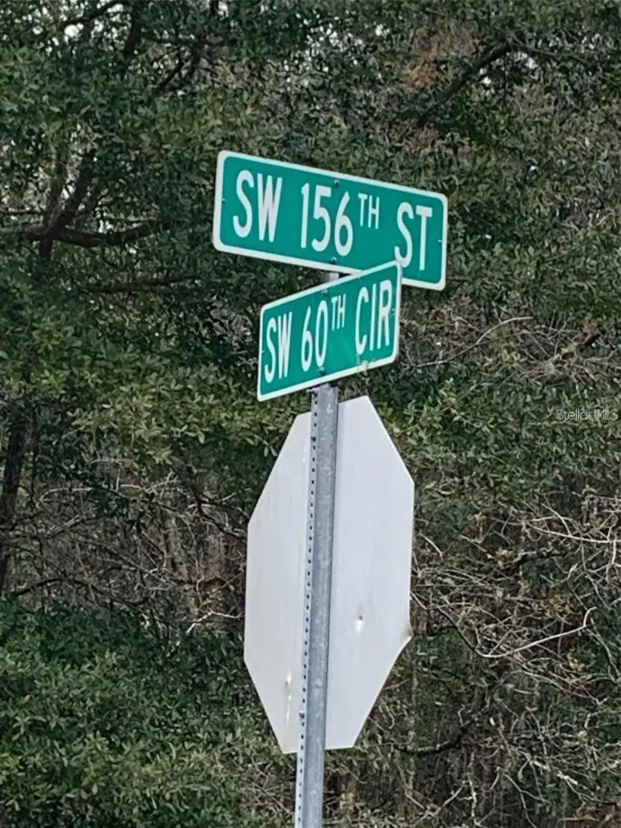 156 St, FL