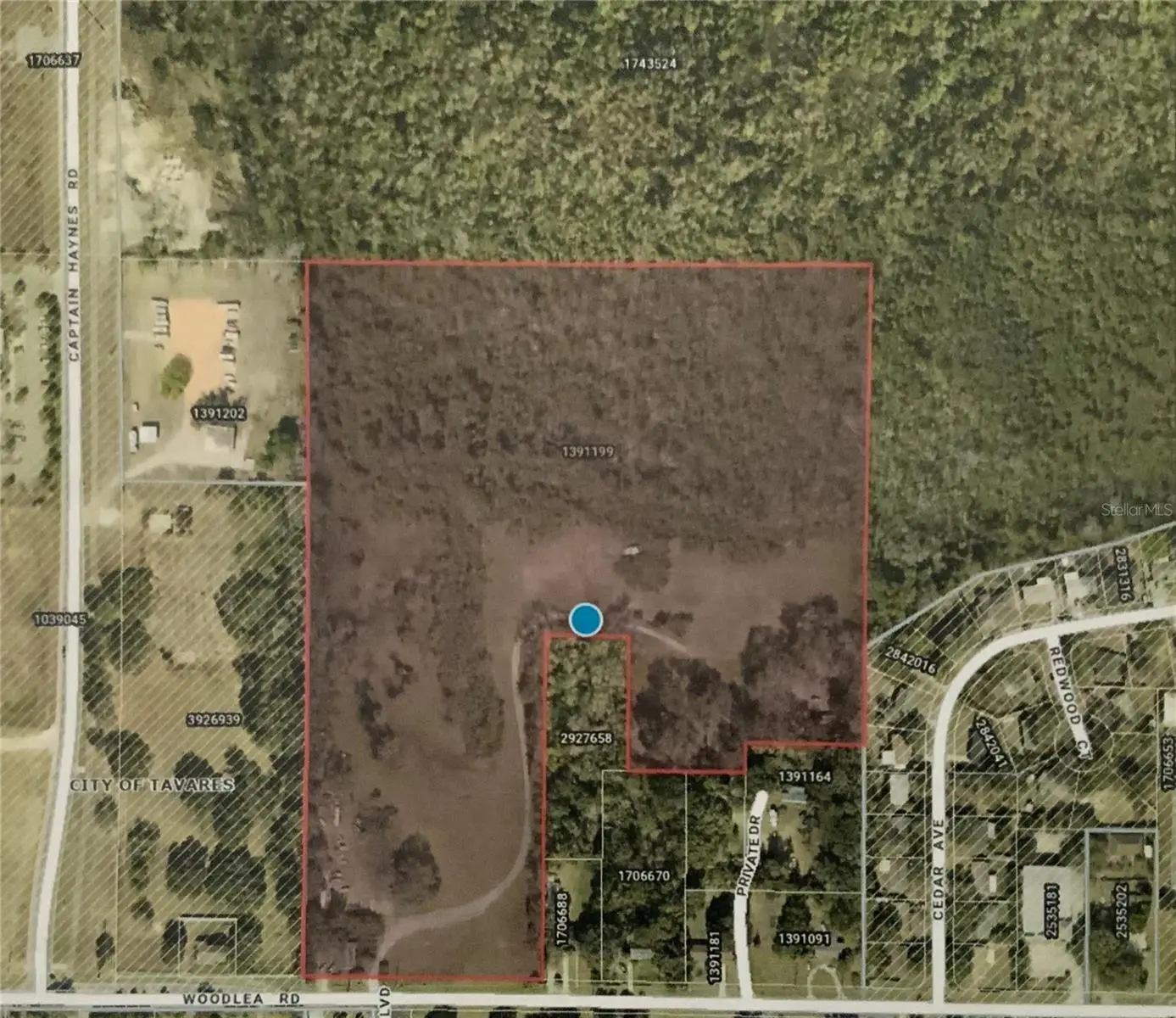 12301 Woodlea Road, FL