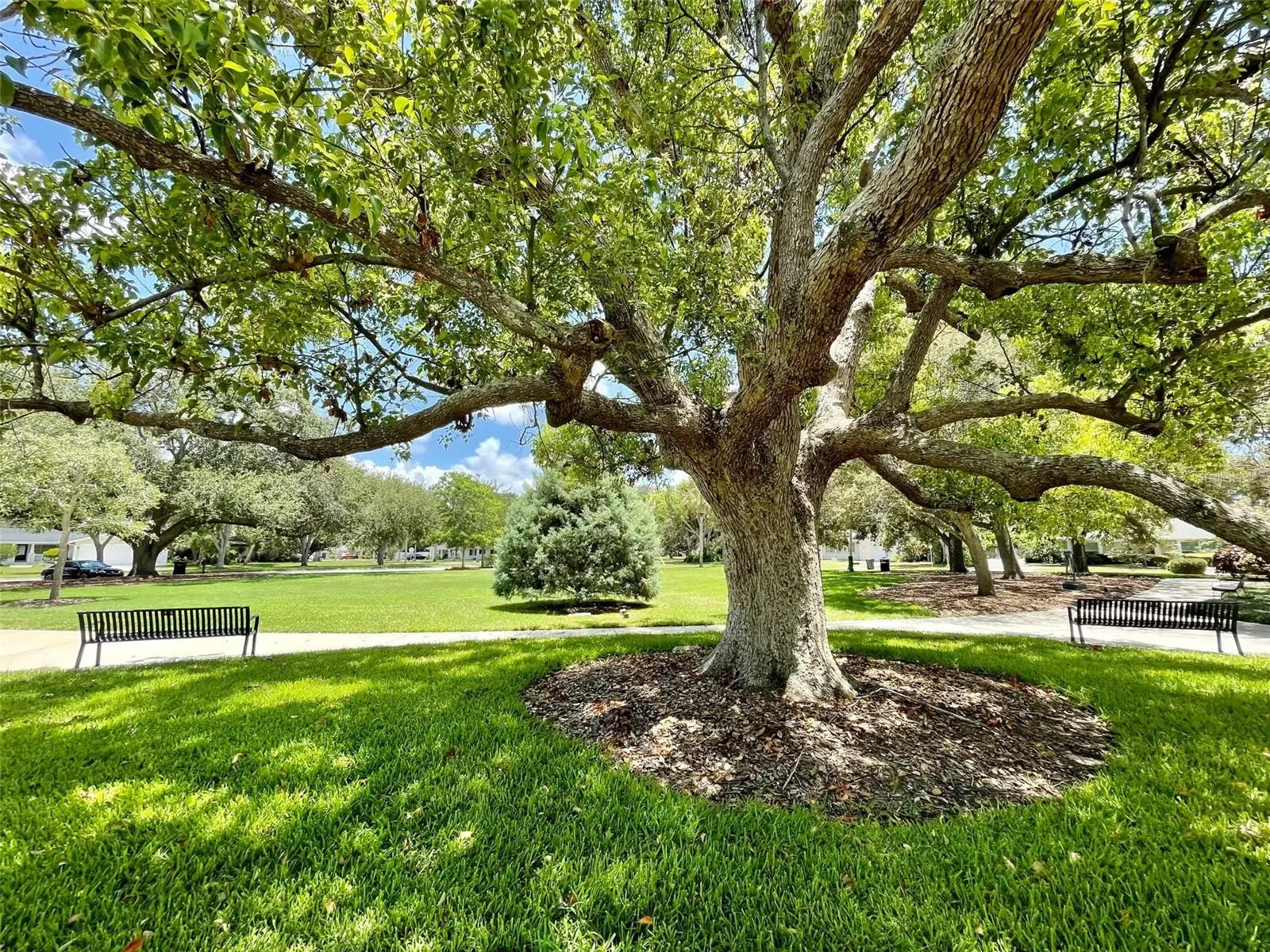 220 Belleview Boulevard, FL