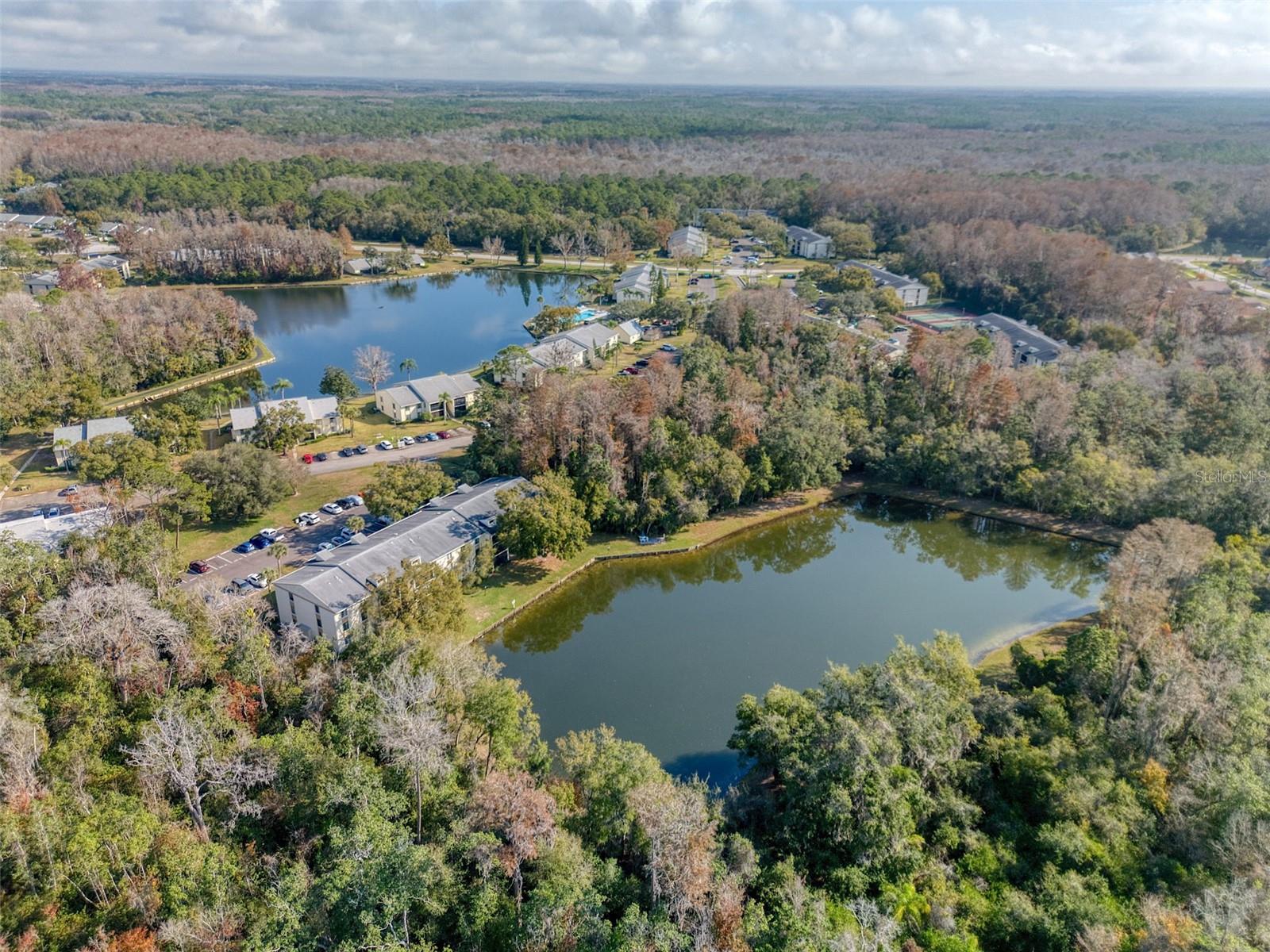 3134 Lake Pine Way, FL