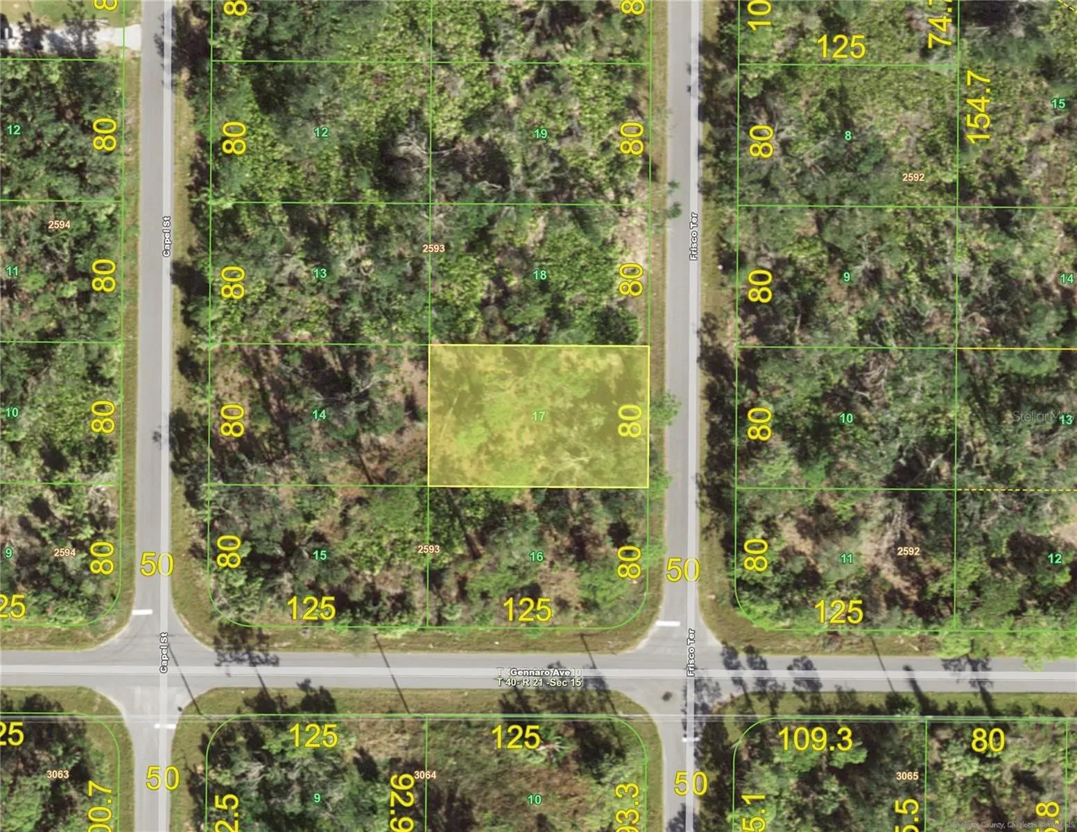 1603 Frisco Terrace, FL