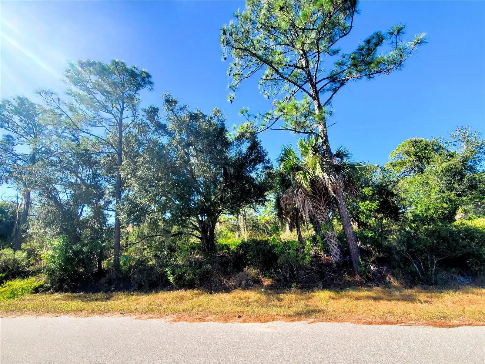 1603 Frisco Terrace, FL