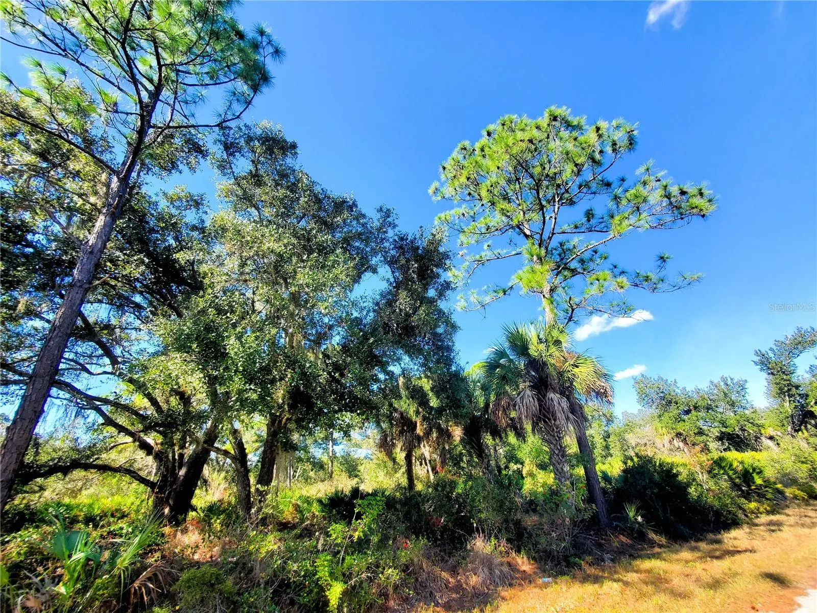 1603 Frisco Terrace, FL