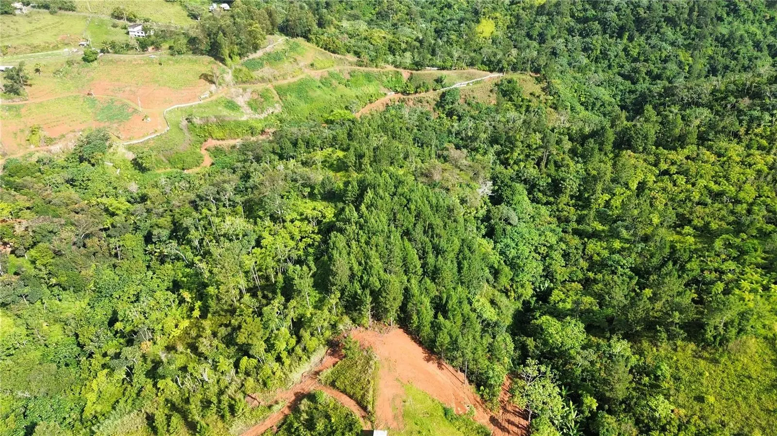 Bo. Maná Carr. 802 Km 2.5, PR
