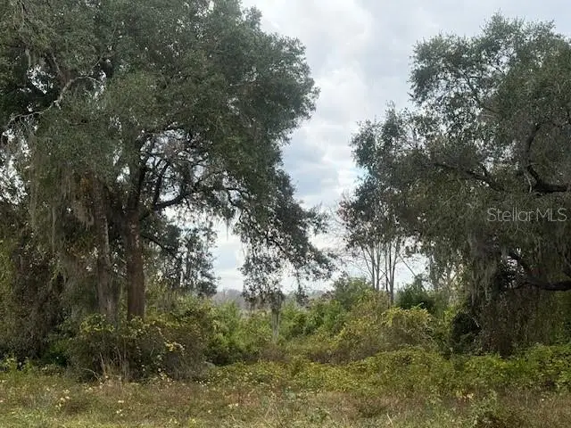 175th Terrace, FL