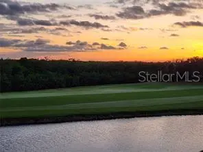 2333 Feather Sound Drive, FL