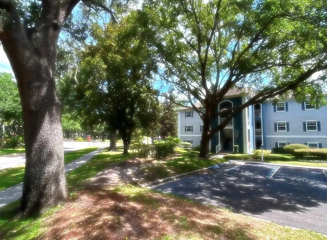8203 Olympia Court, FL