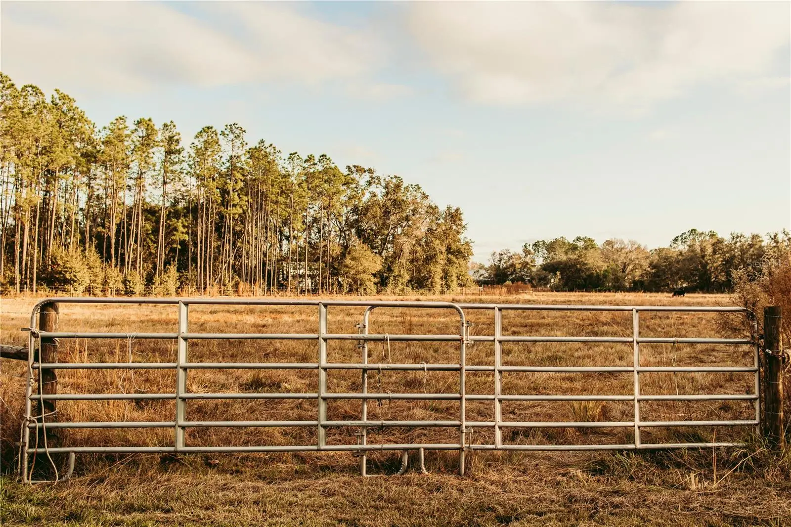 0 Dormany Road, FL