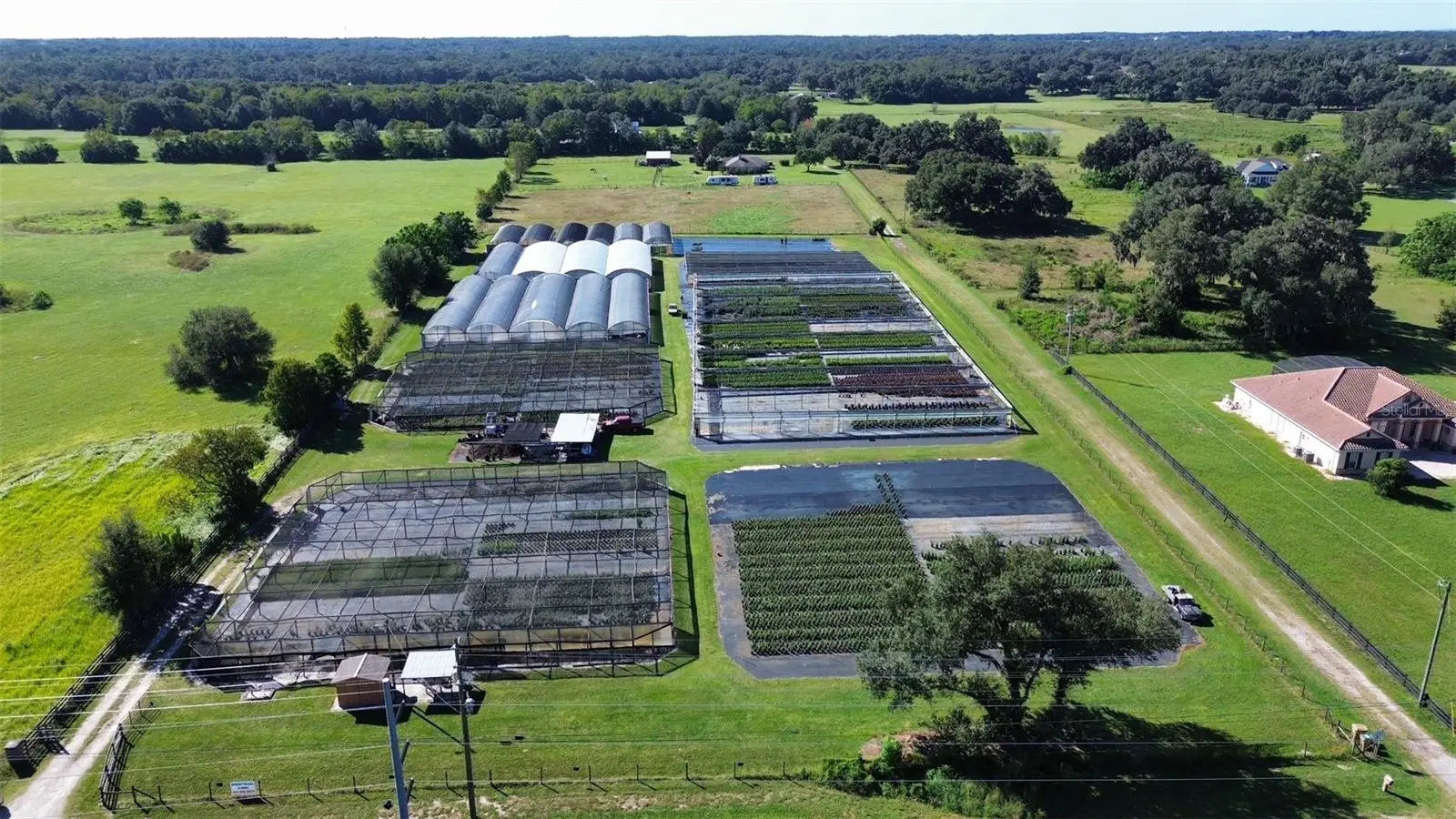 23010 Wolf Branch Road, FL