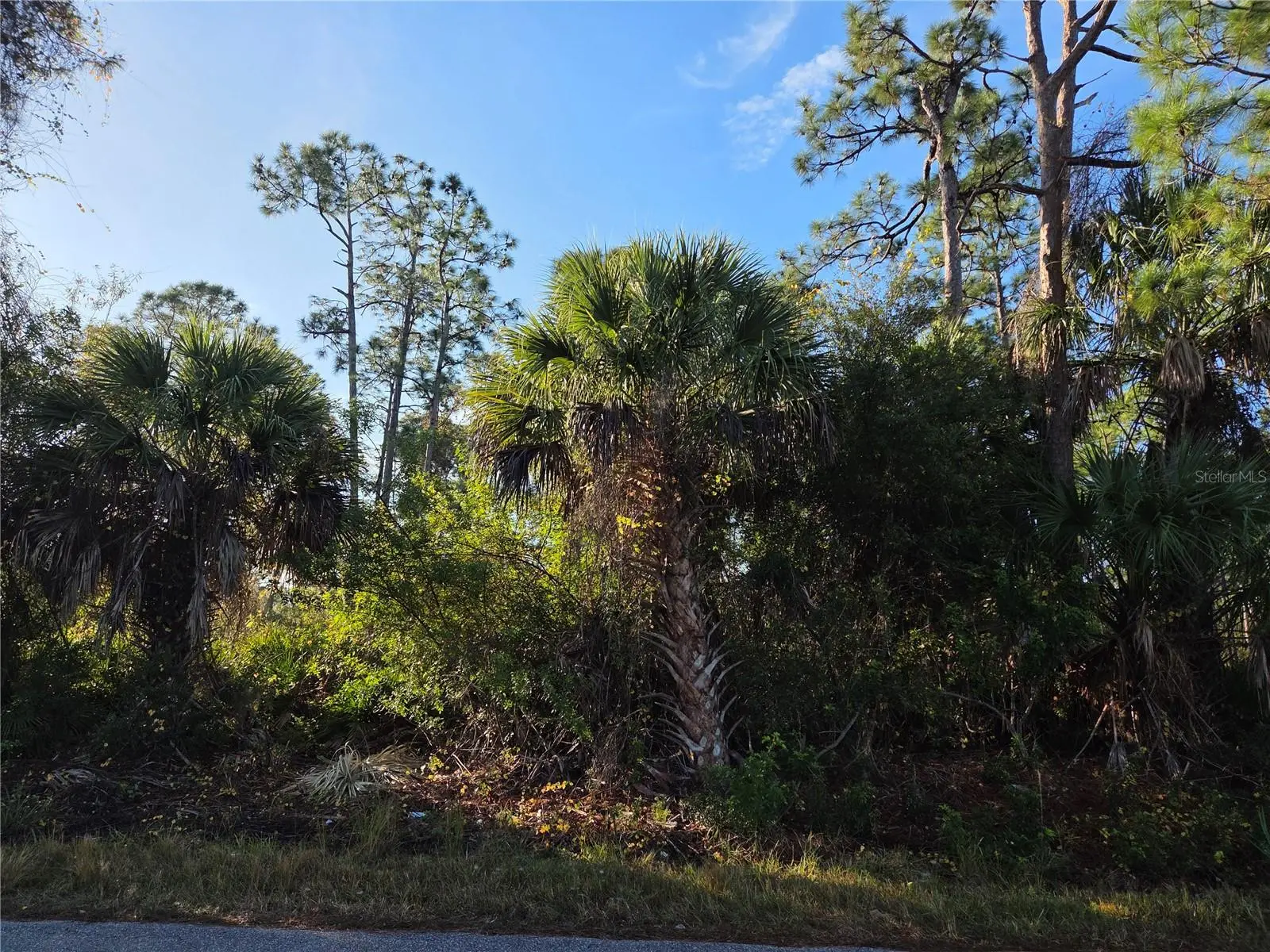 23507 Spencer Court, FL