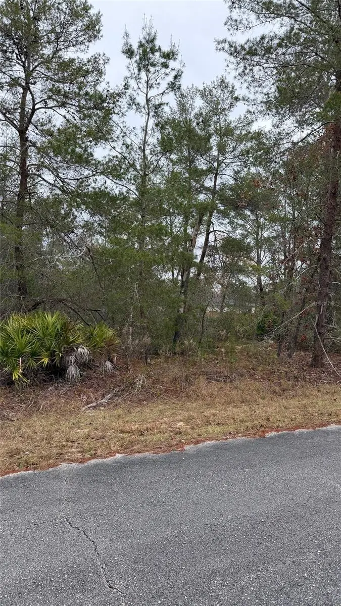 Malauka Drive, FL