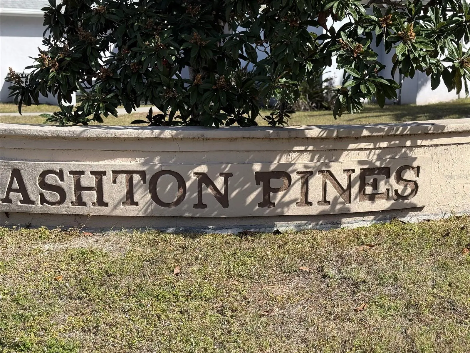5295 Ashton Pines Lane, FL