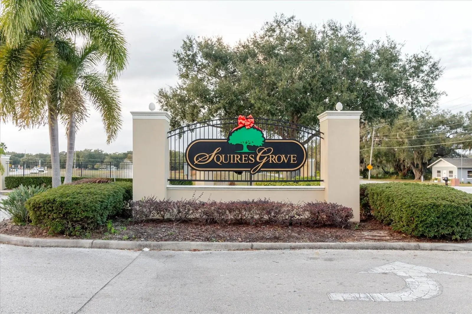 525 Squires Grove Drive, FL