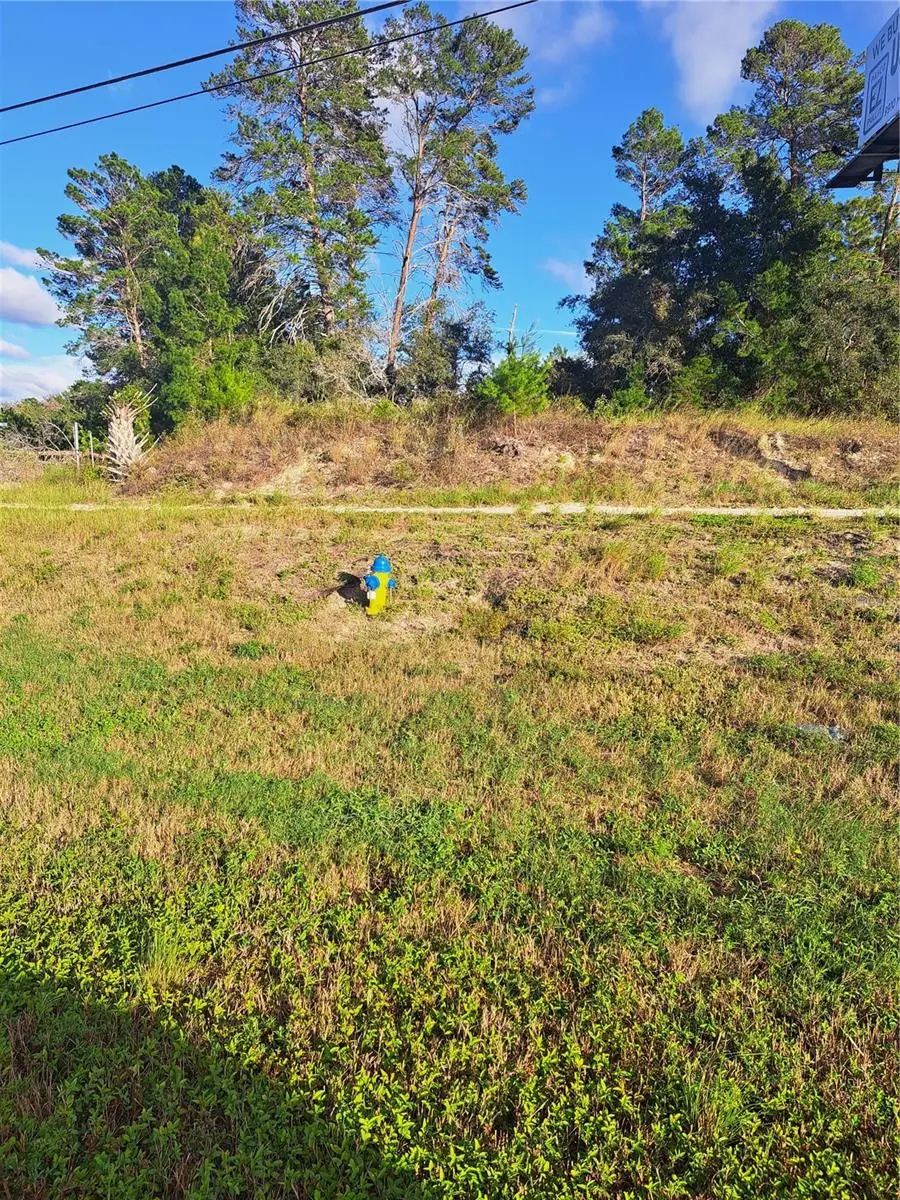 Us 19 Hwy, FL