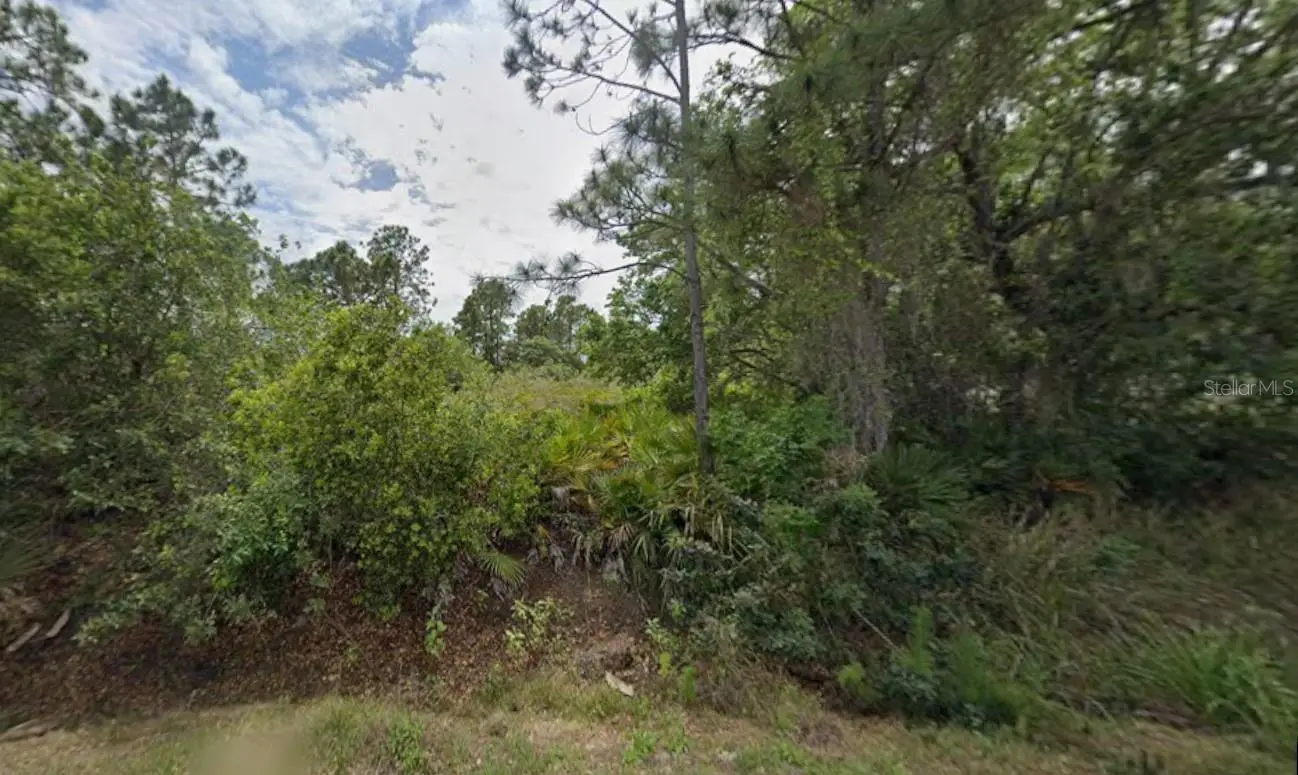 23427 Hemenway Ave, FL