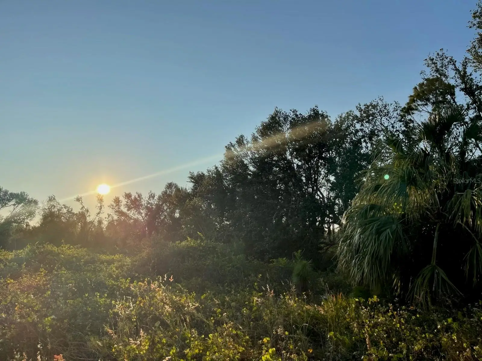 1215 Harbour Breeze Court, FL