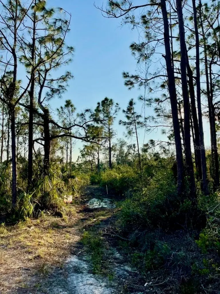 1215 Harbour Breeze Court, FL