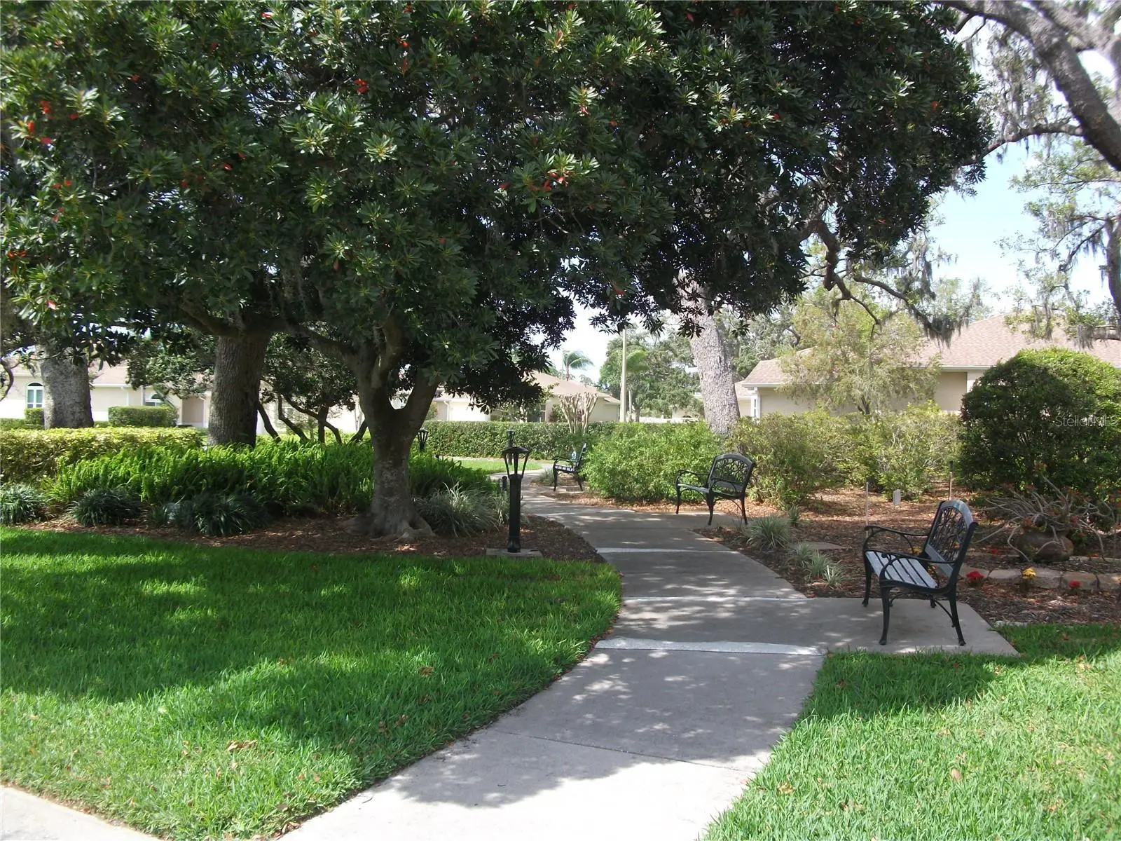 913 Michele Circle, FL