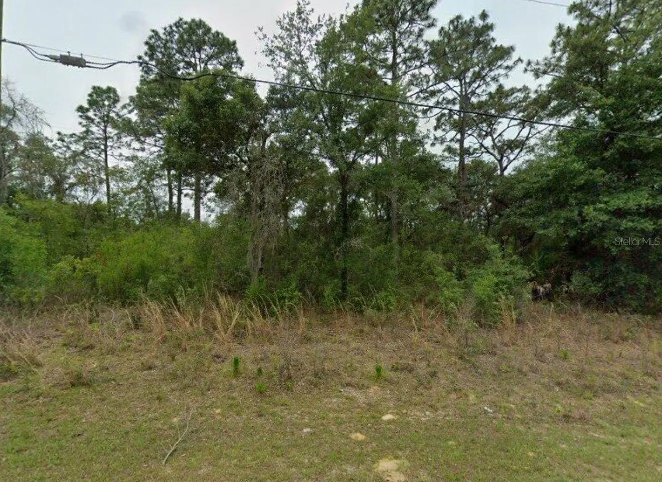 2338 Riley Drive, FL