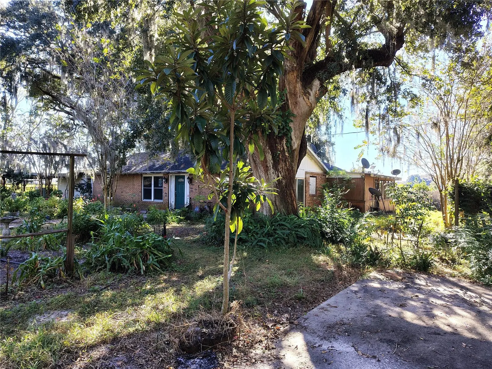 3537 C 462, FL