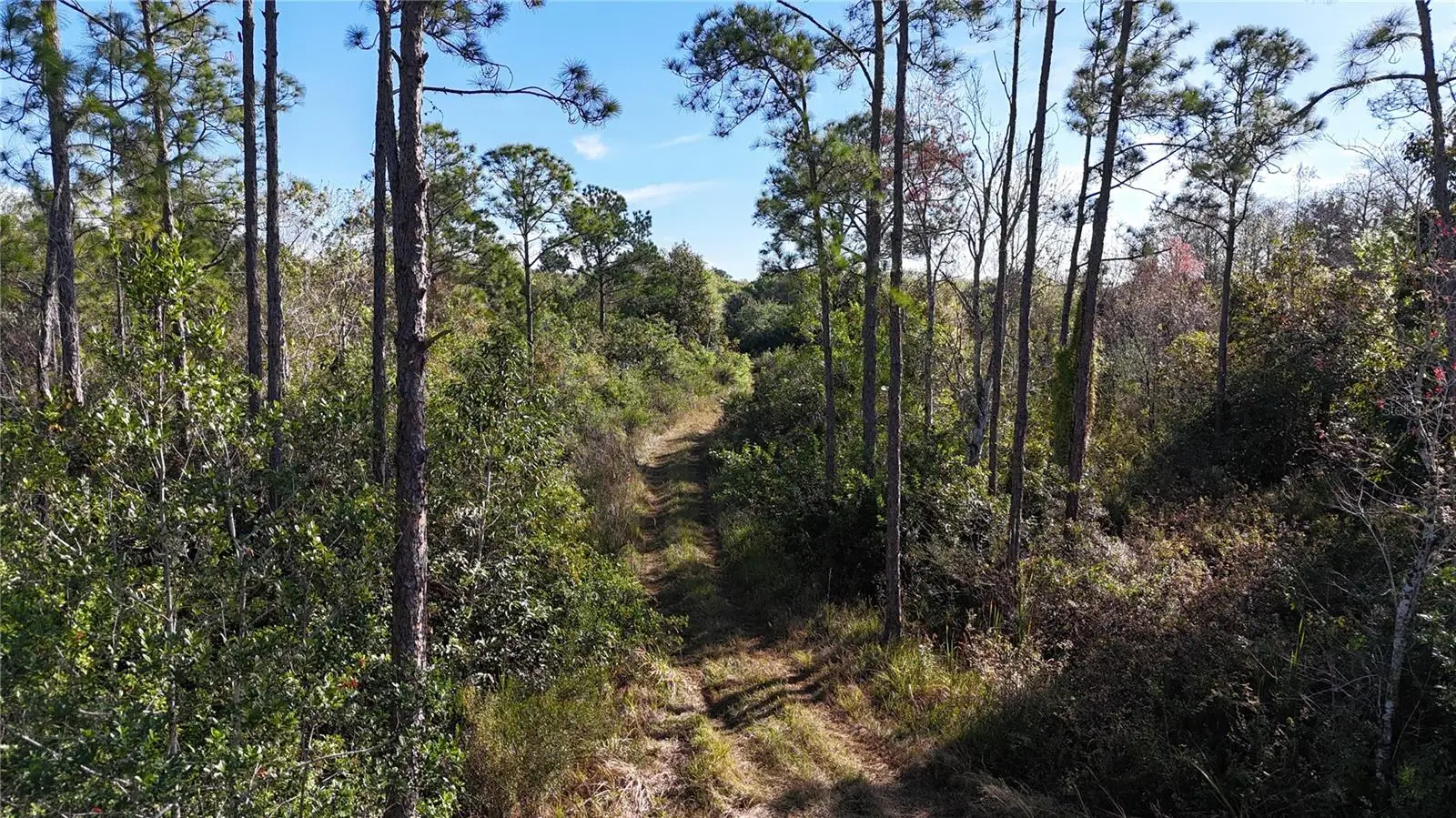 N/A, FL