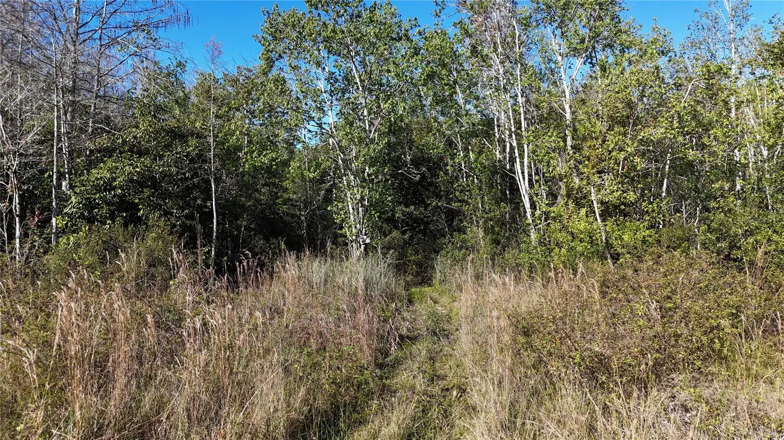 N/A, FL
