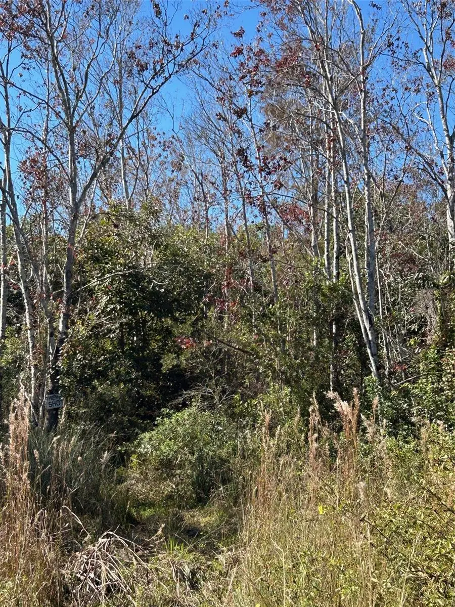 N/A, FL