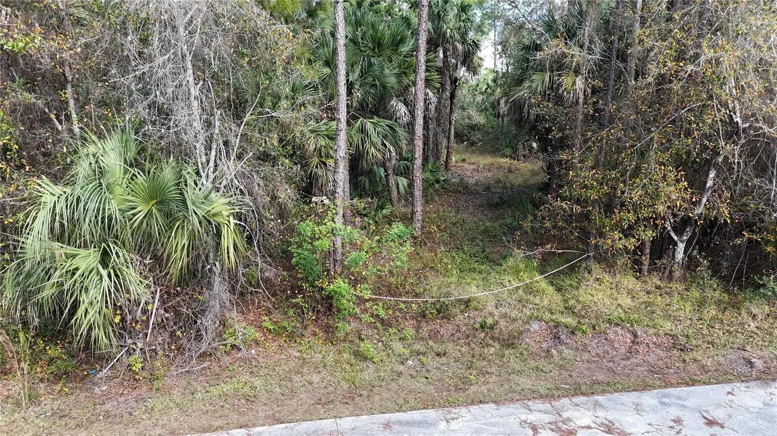 16th Ave Se, FL