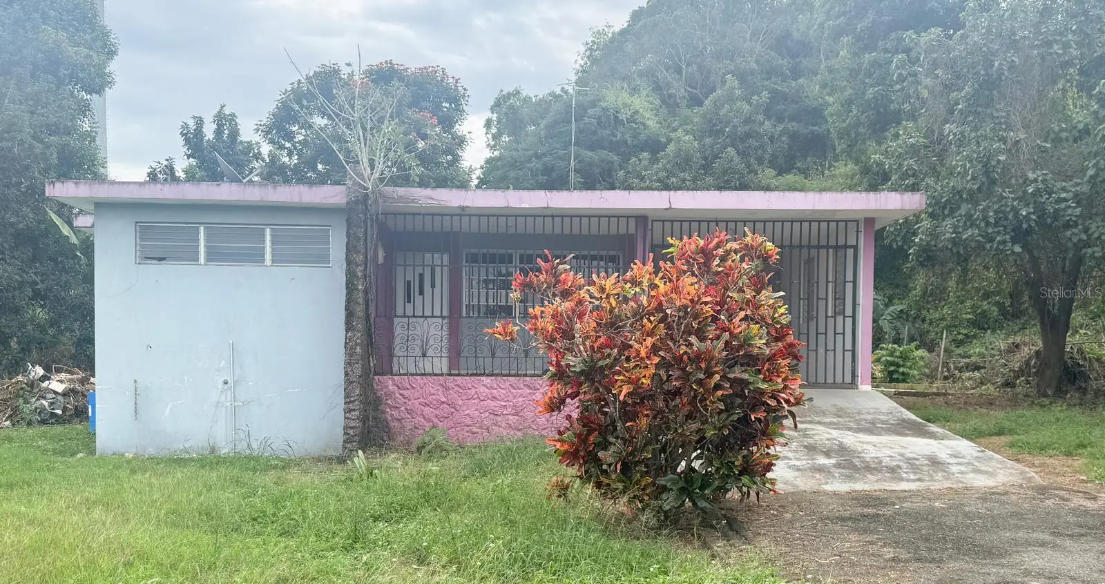 Carr 2 Bo. Trinidad Km. 56.2, PR