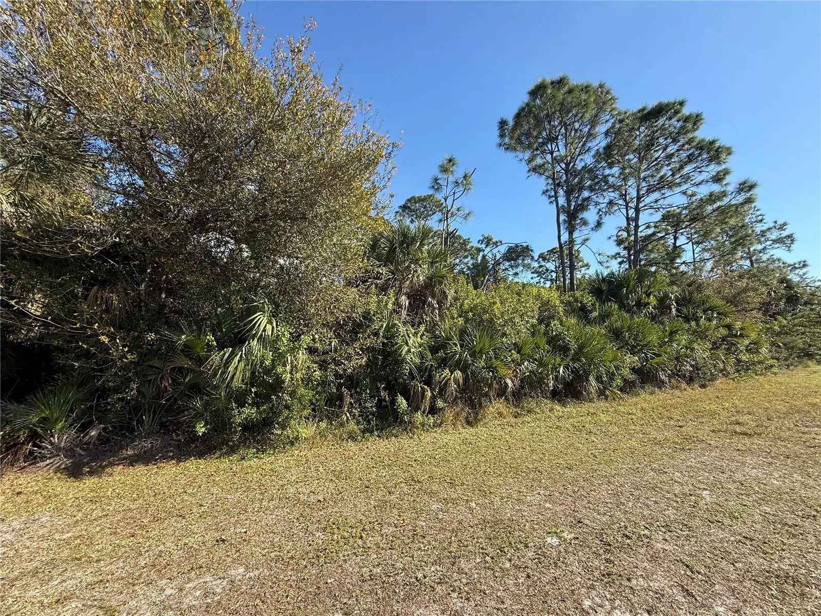 9065 Willmington Boulevard, FL