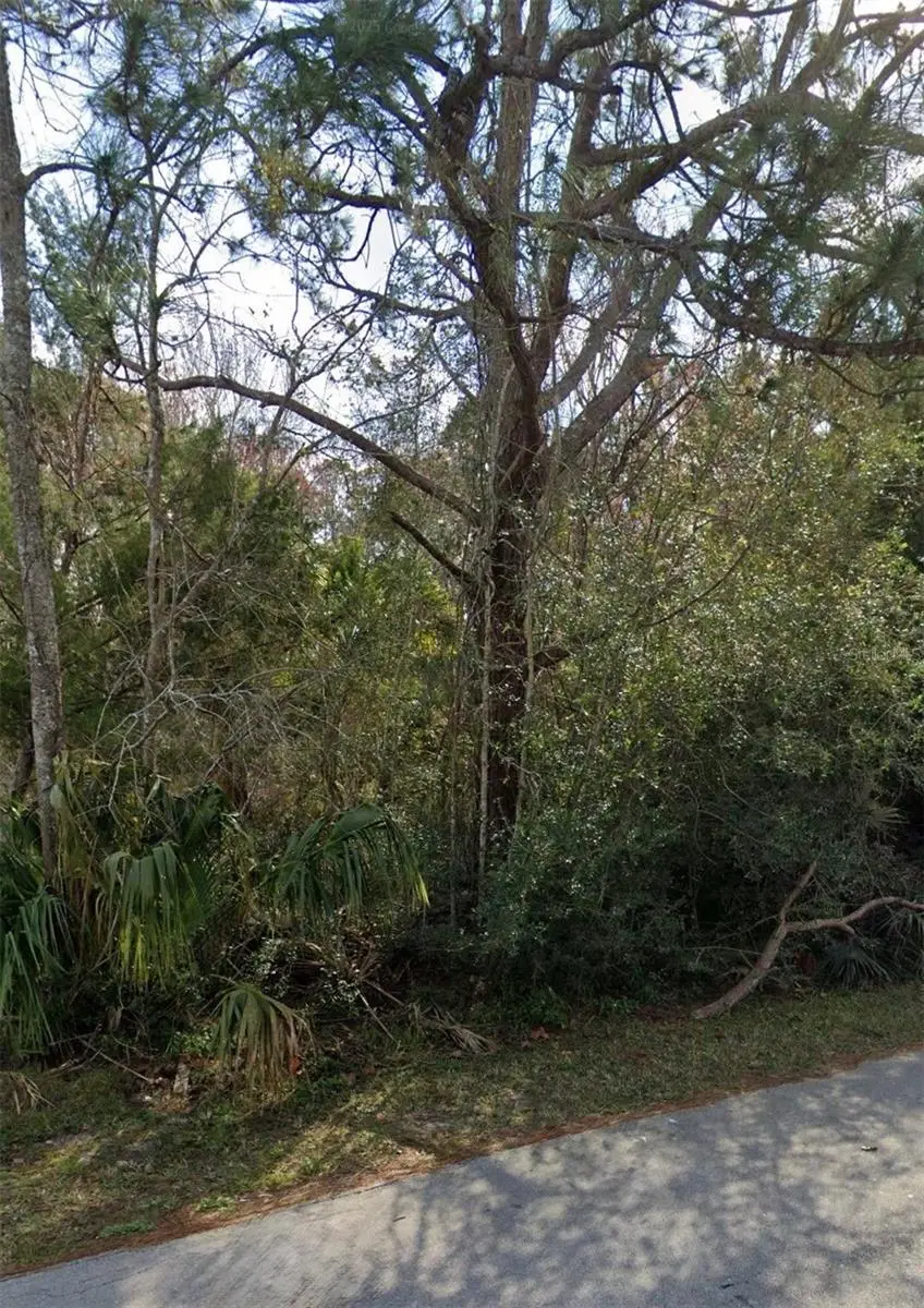 12 Selma Trail, FL