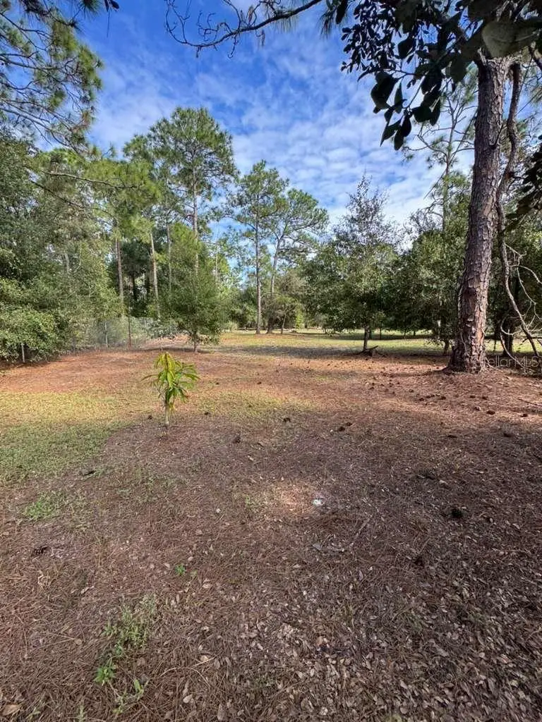 415 Verda Street, FL