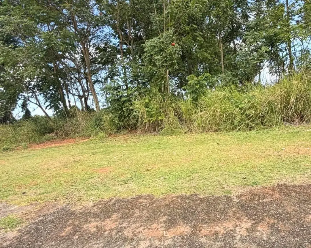 Sector Manantiales, Bo. Sabana Hoyos, PR