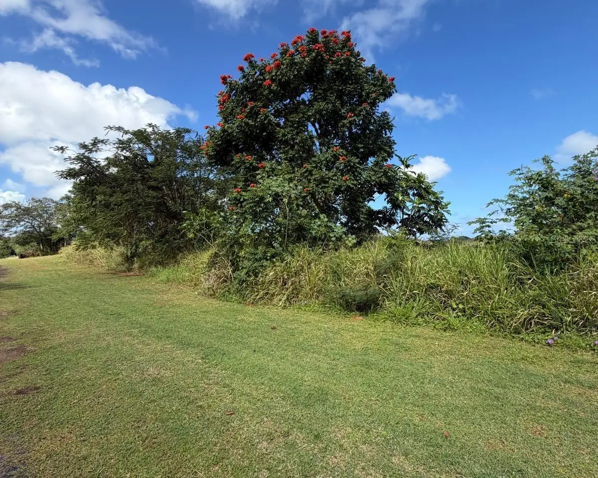 Sector Manantiales, Bo. Sabana Hoyos, PR