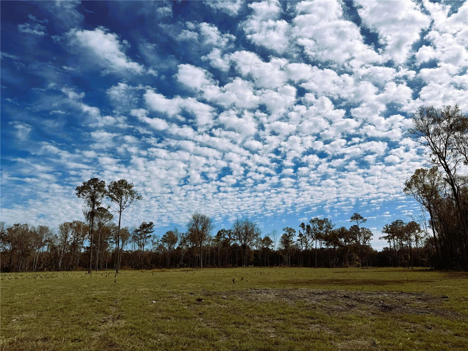 Dr #3 (10ac) 193rd St, FL
