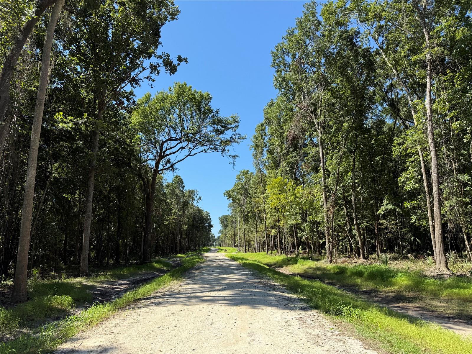 Dr #3 (10ac) 193rd St, FL