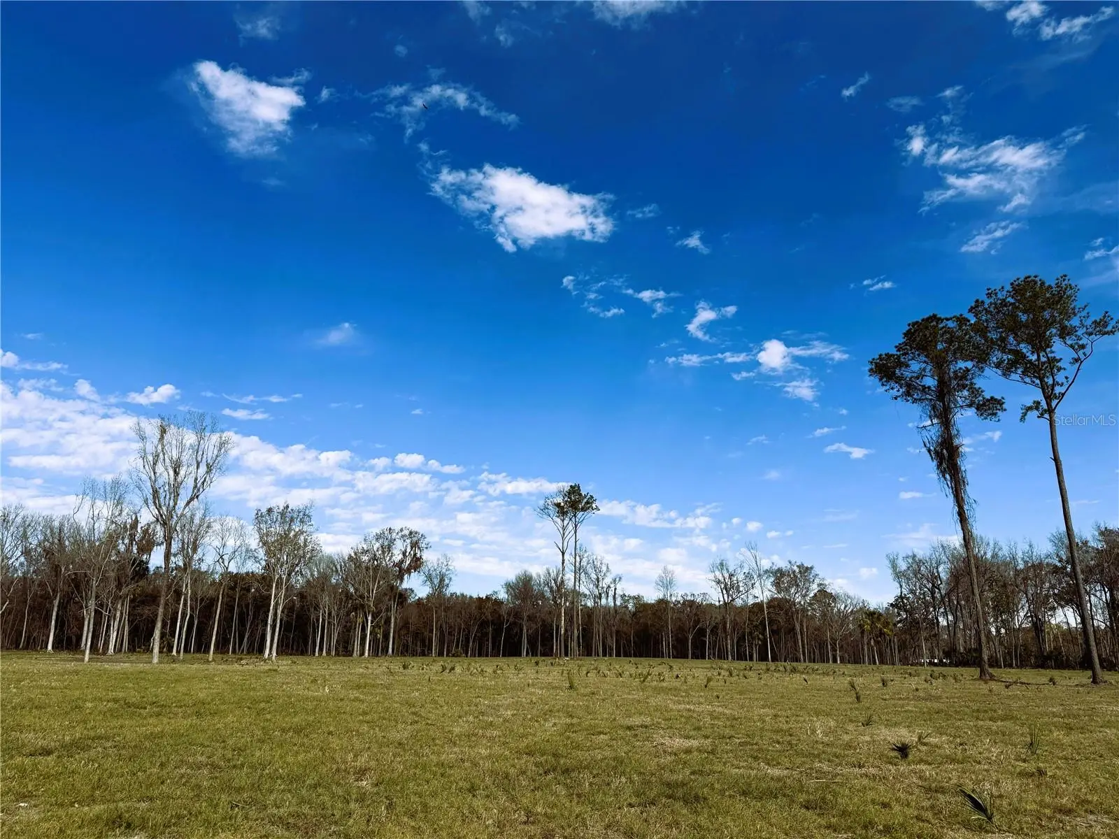 Dr #3 (10ac) 193rd St, FL