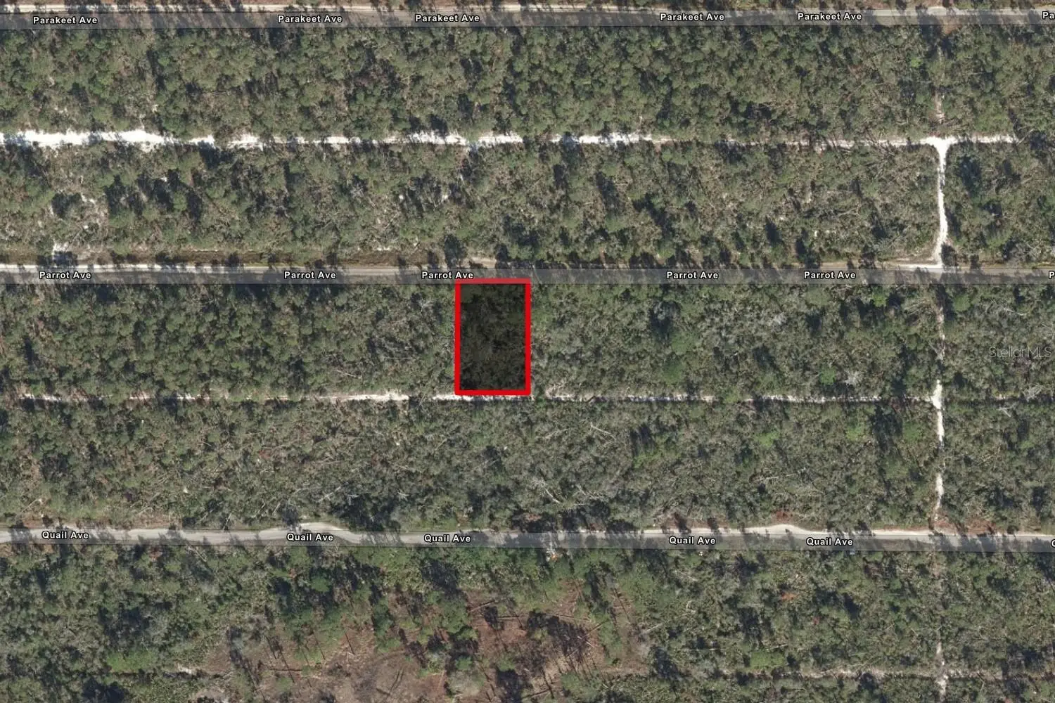 533 Parrot Avenue, FL