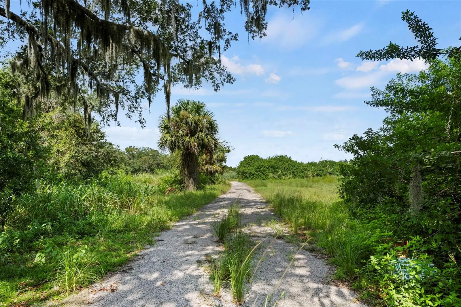 38 Eagle Lake Drive, FL